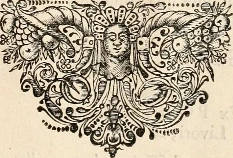 An illustration from Panegyricus aeternaturae gloriae invictissimo semper hostium triumphatori ... Ioanni Christophoro Königsmarchio ... destinatus : atq[ue] hoc die, qui laudum ipsius primus factorum supremus est, non dolori at solatio, non funeri sed splendori, coelo orbi posteris in gloriam famam exemplum expositus ..., 1663, leaf 120