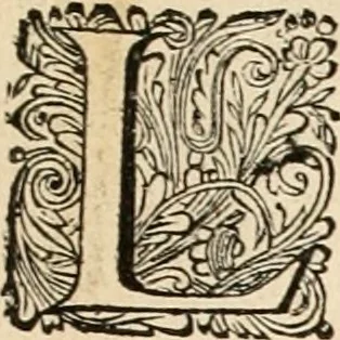 An illustration from Panegyricus aeternaturae gloriae invictissimo semper hostium triumphatori ... Ioanni Christophoro Königsmarchio ... destinatus : atq[ue] hoc die, qui laudum ipsius primus factorum supremus est, non dolori at solatio, non funeri sed splendori, coelo orbi posteris in gloriam famam exemplum expositus ..., 1663, leaf 124