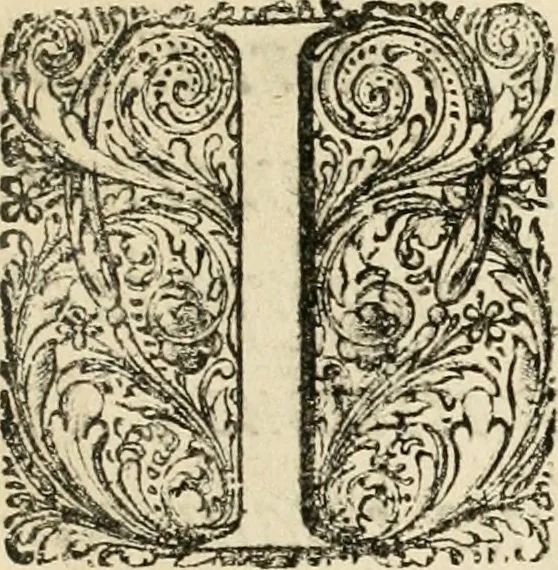An illustration from Panegyricus aeternaturae gloriae invictissimo semper hostium triumphatori ... Ioanni Christophoro Königsmarchio ... destinatus : atq[ue] hoc die, qui laudum ipsius primus factorum supremus est, non dolori at solatio, non funeri sed splendori, coelo orbi posteris in gloriam famam exemplum expositus ..., 1663, leaf 8
