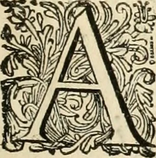 An illustration from Panegyricus aeternaturae gloriae invictissimo semper hostium triumphatori ... Ioanni Christophoro Königsmarchio ... destinatus : atq[ue] hoc die, qui laudum ipsius primus factorum supremus est, non dolori at solatio, non funeri sed splendori, coelo orbi posteris in gloriam famam exemplum expositus ..., 1663, leaf 82