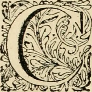 An illustration from Panegyricus aeternaturae gloriae invictissimo semper hostium triumphatori ... Ioanni Christophoro Königsmarchio ... destinatus : atq[ue] hoc die, qui laudum ipsius primus factorum supremus est, non dolori at solatio, non funeri sed splendori, coelo orbi posteris in gloriam famam exemplum expositus ..., 1663, leaf 84