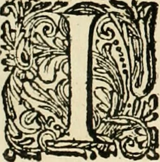 An illustration from Panegyricus aeternaturae gloriae invictissimo semper hostium triumphatori ... Ioanni Christophoro Königsmarchio ... destinatus : atq[ue] hoc die, qui laudum ipsius primus factorum supremus est, non dolori at solatio, non funeri sed splendori, coelo orbi posteris in gloriam famam exemplum expositus ..., 1663, leaf 91