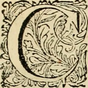 An illustration from Panegyricus aeternaturae gloriae invictissimo semper hostium triumphatori ... Ioanni Christophoro Königsmarchio ... destinatus : atq[ue] hoc die, qui laudum ipsius primus factorum supremus est, non dolori at solatio, non funeri sed splendori, coelo orbi posteris in gloriam famam exemplum expositus ..., 1663, leaf 92