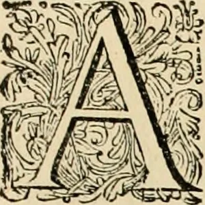 An illustration from Panegyricus aeternaturae gloriae invictissimo semper hostium triumphatori ... Ioanni Christophoro Königsmarchio ... destinatus : atq[ue] hoc die, qui laudum ipsius primus factorum supremus est, non dolori at solatio, non funeri sed splendori, coelo orbi posteris in gloriam famam exemplum expositus ..., 1663, leaf 98