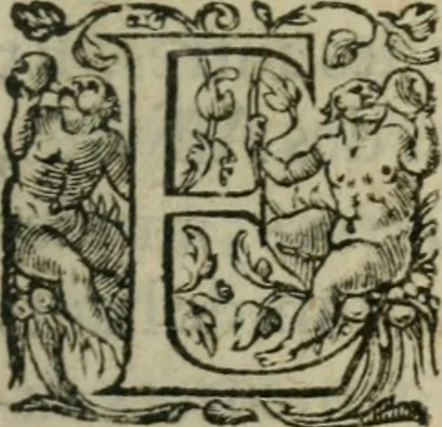 An illustration from Panegyrique de l'Henoticon ou edict de Henry III, roy de France & de Poloigne, sur la reünion de ses subiets à l'Eglise catholique, apostolique, & romaine; auec vne sommaire exposition d'iceluy: & ample discours des moyens, de purger les royaumes d'heresies, schismes, troubles, & seditions, 1588, leaf 22