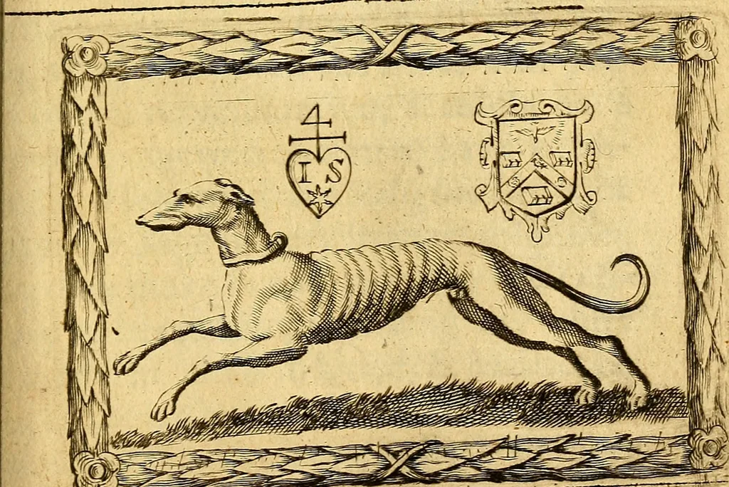 An illustration from [Pansébeia]: or, A view of all the religions in the world: with the severall church-governments, from the creation, to these times. Also, a discovery of all known heresies .., 1658, leaf 556