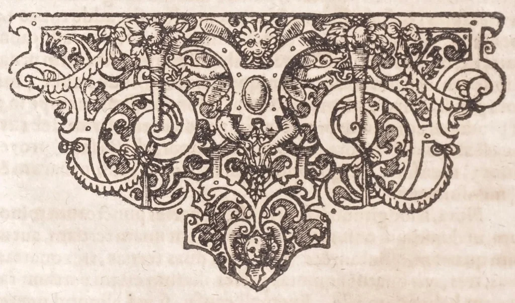 An illustration from Pantometrum Kircherianum, hoc est, Instrumentum geometricum novum à celeberrimo viro P. Athanasio Kirchero ante hac inventum : nunc decem libris, universam paenè practicam geometriam complectentibus explicatum, perspicuisque demonstrationibus illustratum, 1660, leaf 244