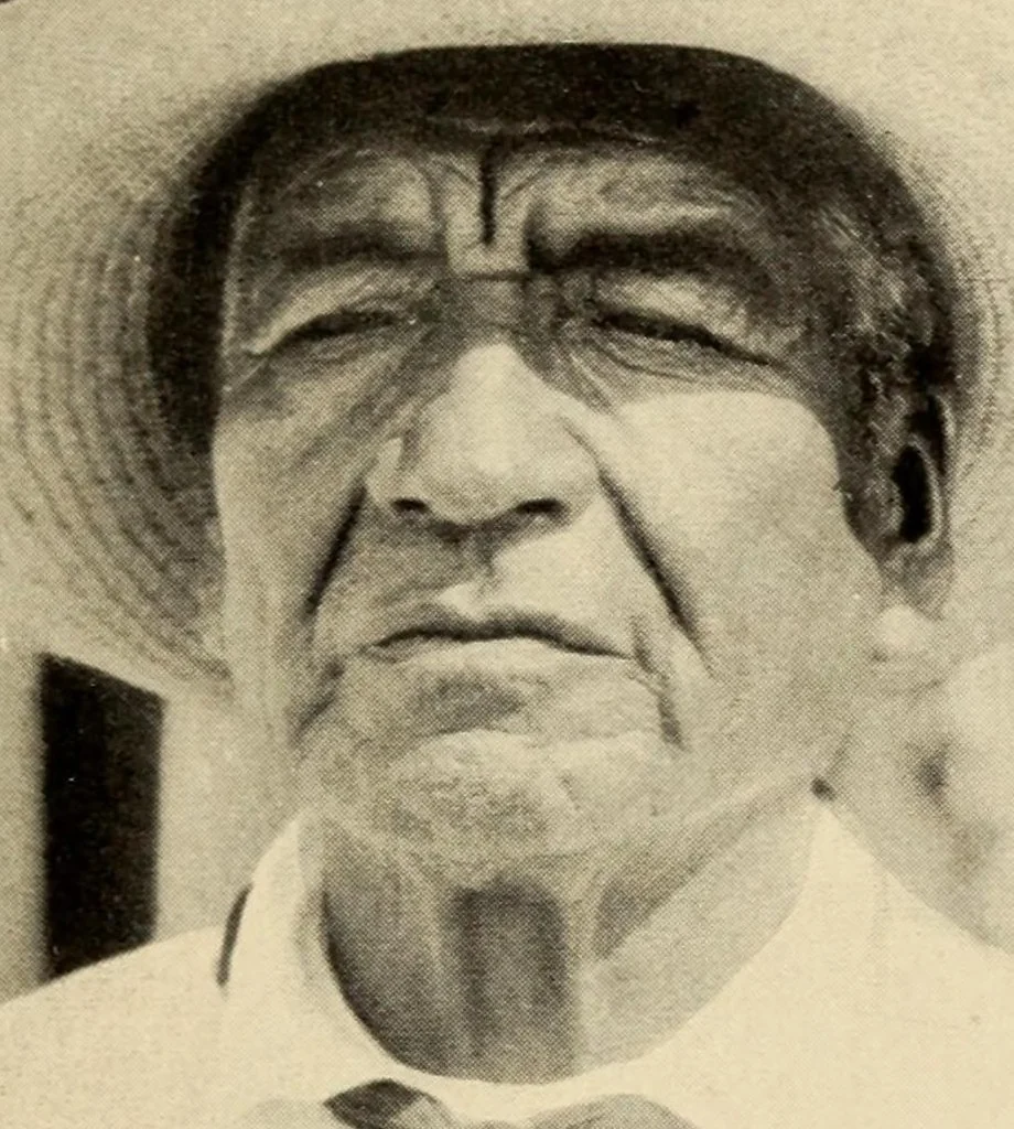An illustration from The Papago ceremony of víkita, 1920, leaf 21