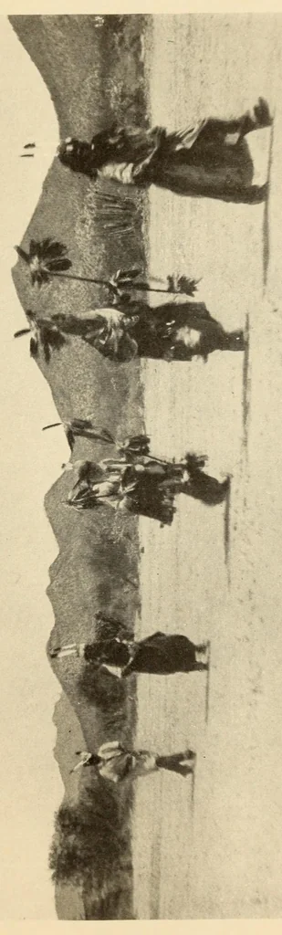 An illustration from The Papago ceremony of víkita, 1920, leaf 41