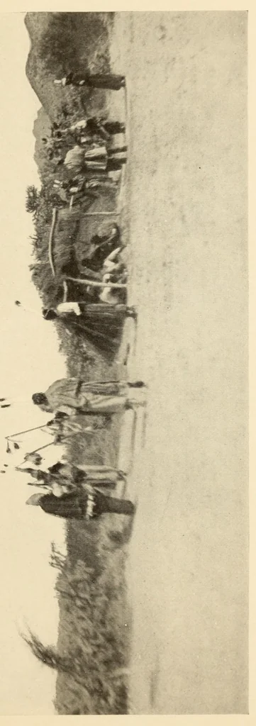 An illustration from The Papago ceremony of víkita, 1920, leaf 43