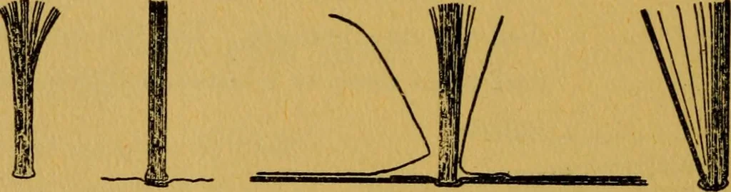 An illustration from Paper and cardboard construction, 1911, leaf 49