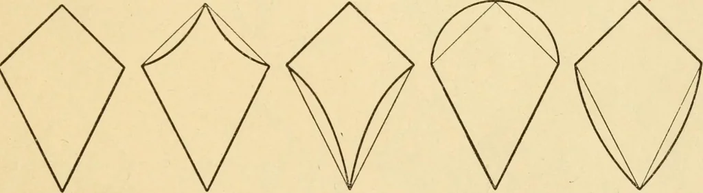An illustration from Paper folding and cutting; a series of foldings and cuttings especially adapted to kindergartens and public schools, 1892, leaf 24