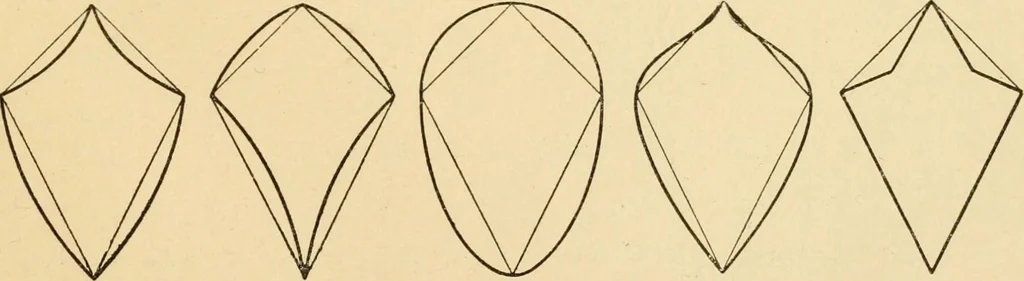 An illustration from Paper folding and cutting; a series of foldings and cuttings especially adapted to kindergartens and public schools, 1892, leaf 24