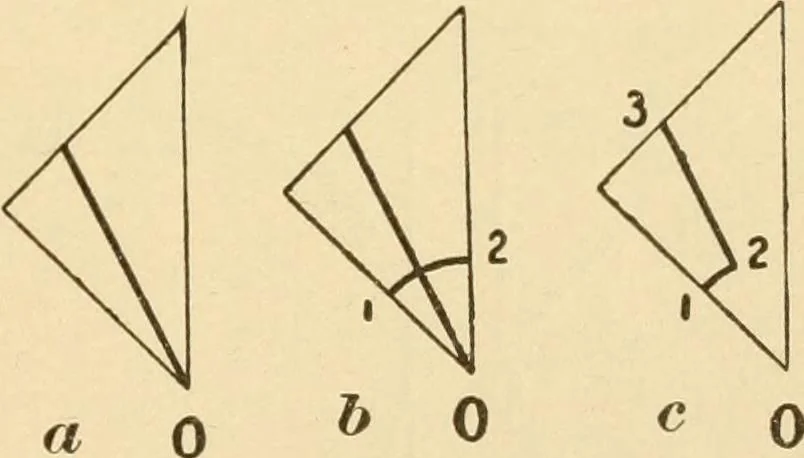An illustration from Paper folding and cutting; a series of foldings and cuttings especially adapted to kindergartens and public schools, 1892, leaf 28