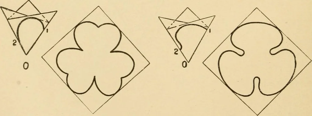An illustration from Paper folding and cutting; a series of foldings and cuttings especially adapted to kindergartens and public schools, 1892, leaf 37