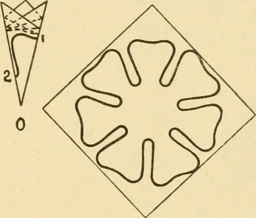 An illustration from Paper folding and cutting; a series of foldings and cuttings especially adapted to kindergartens and public schools, 1892, leaf 46