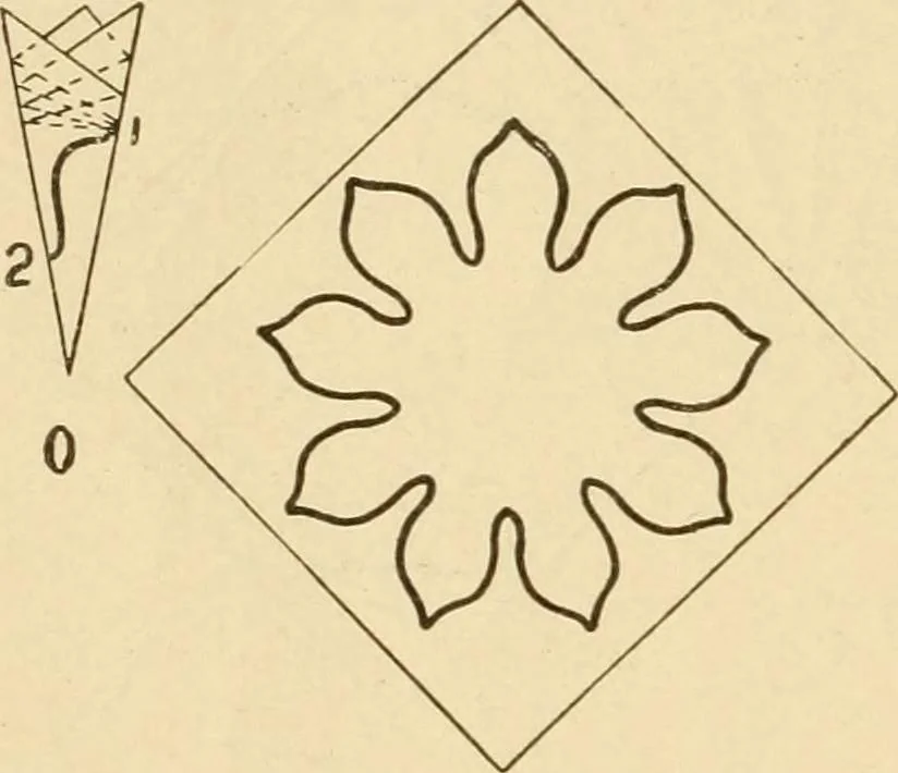 An illustration from Paper folding and cutting; a series of foldings and cuttings especially adapted to kindergartens and public schools, 1892, leaf 49