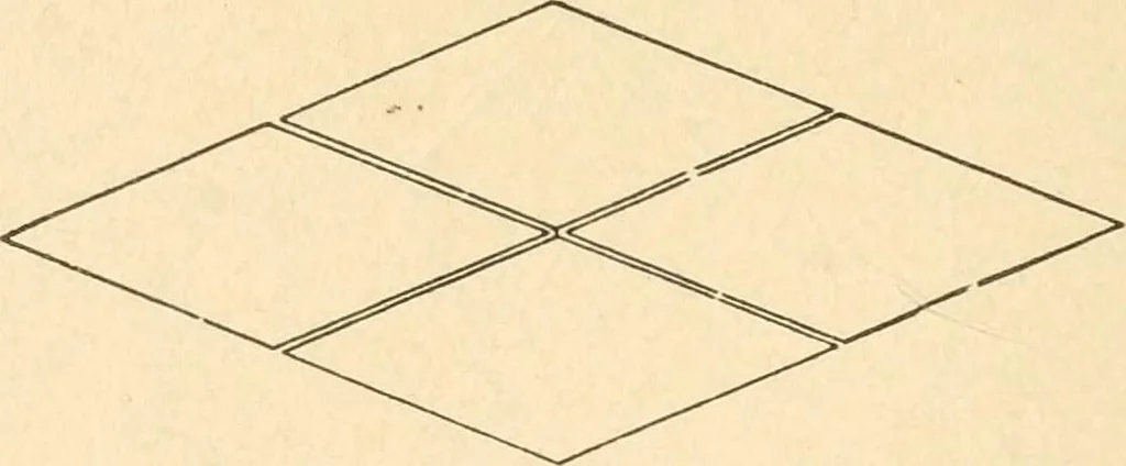 An illustration from Paper and scissors in the schoolroom, 1893, leaf 37