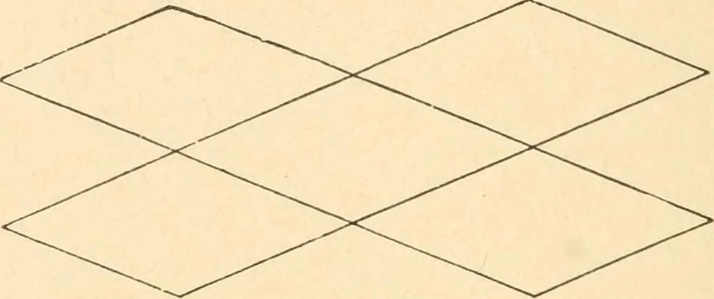 An illustration from Paper and scissors in the schoolroom, 1893, leaf 37