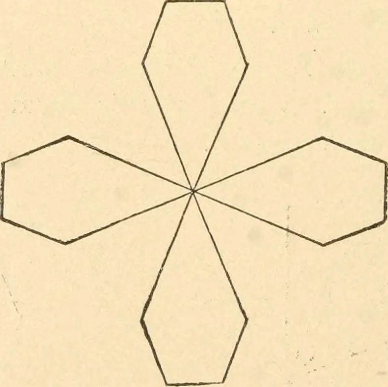 An illustration from Paper and scissors in the schoolroom, 1893, leaf 39