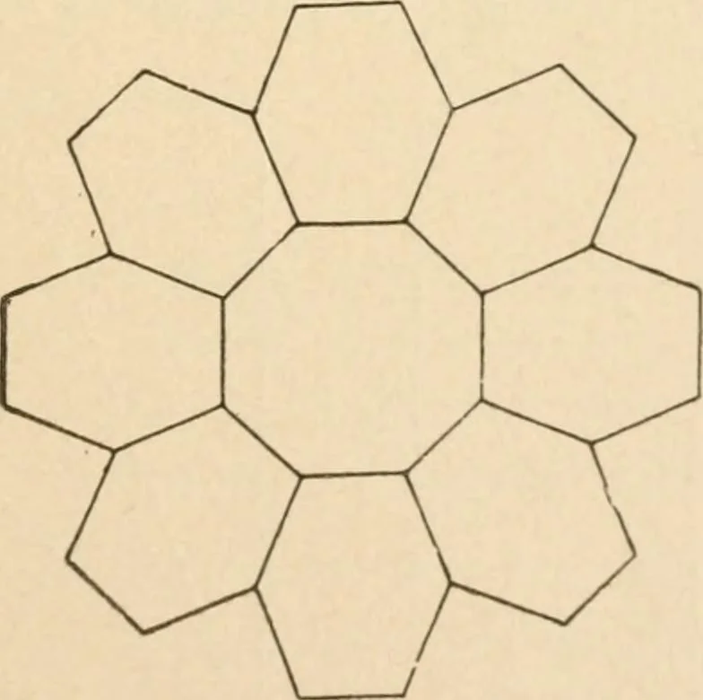 An illustration from Paper and scissors in the schoolroom, 1893, leaf 42