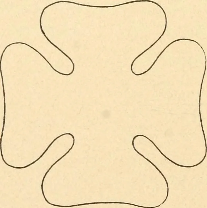 An illustration from Paper and scissors in the schoolroom, 1893, leaf 51