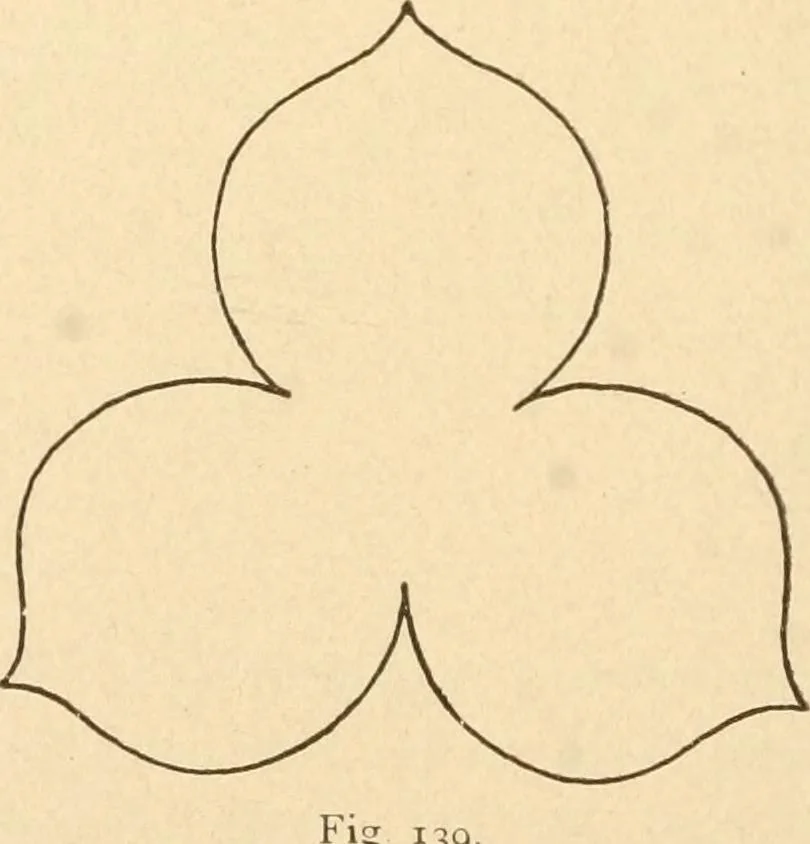 An illustration from Paper and scissors in the schoolroom, 1893, leaf 55