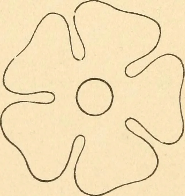 An illustration from Paper and scissors in the schoolroom, 1893, leaf 57