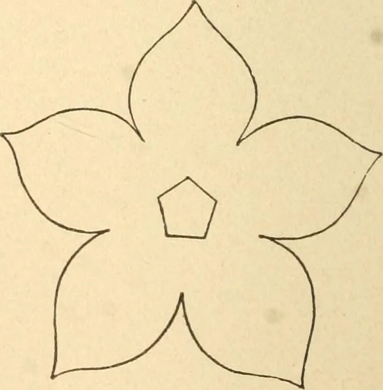 An illustration from Paper and scissors in the schoolroom, 1893, leaf 57