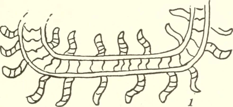 An illustration from Papers of the Peabody Museum of American Archaeology and Ethnology, Harvard University, 1904, leaf 402