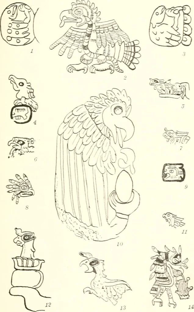 An illustration from Papers of the Peabody Museum of American Archaeology and Ethnology, Harvard University, 1904, leaf 432