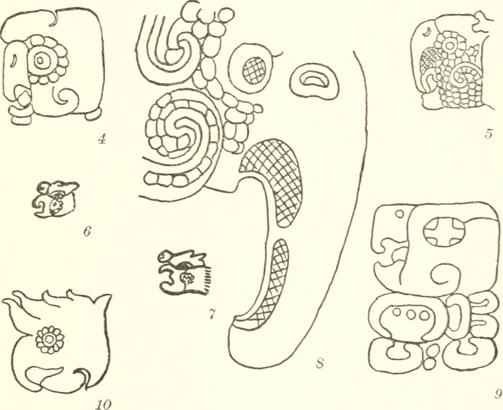 An illustration from Papers of the Peabody Museum of American Archaeology and Ethnology, Harvard University, 1904, leaf 442