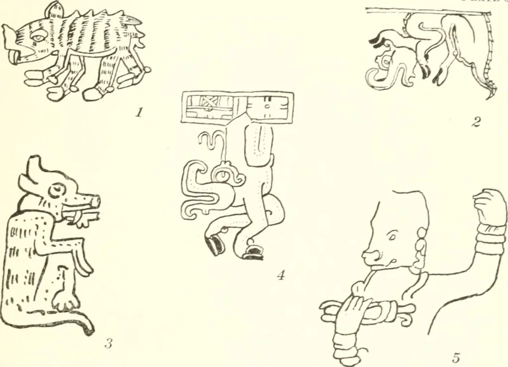 An illustration from Papers of the Peabody Museum of American Archaeology and Ethnology, Harvard University, 1904, leaf 456