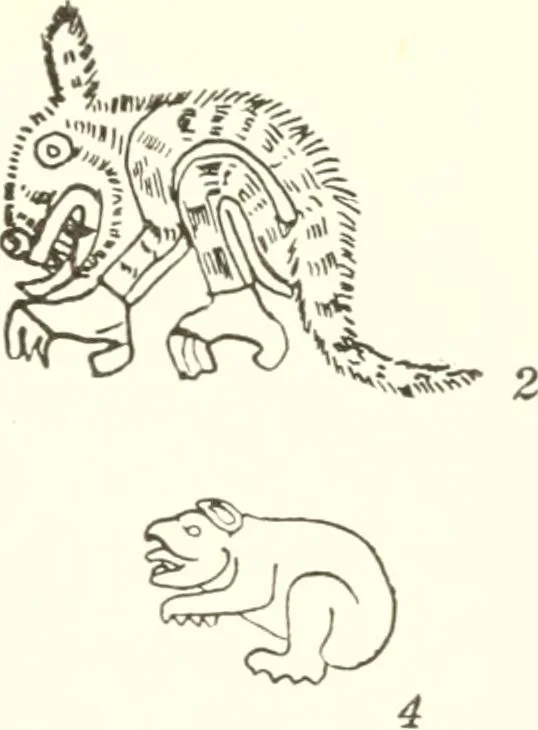 An illustration from Papers of the Peabody Museum of American Archaeology and Ethnology, Harvard University, 1904, leaf 462