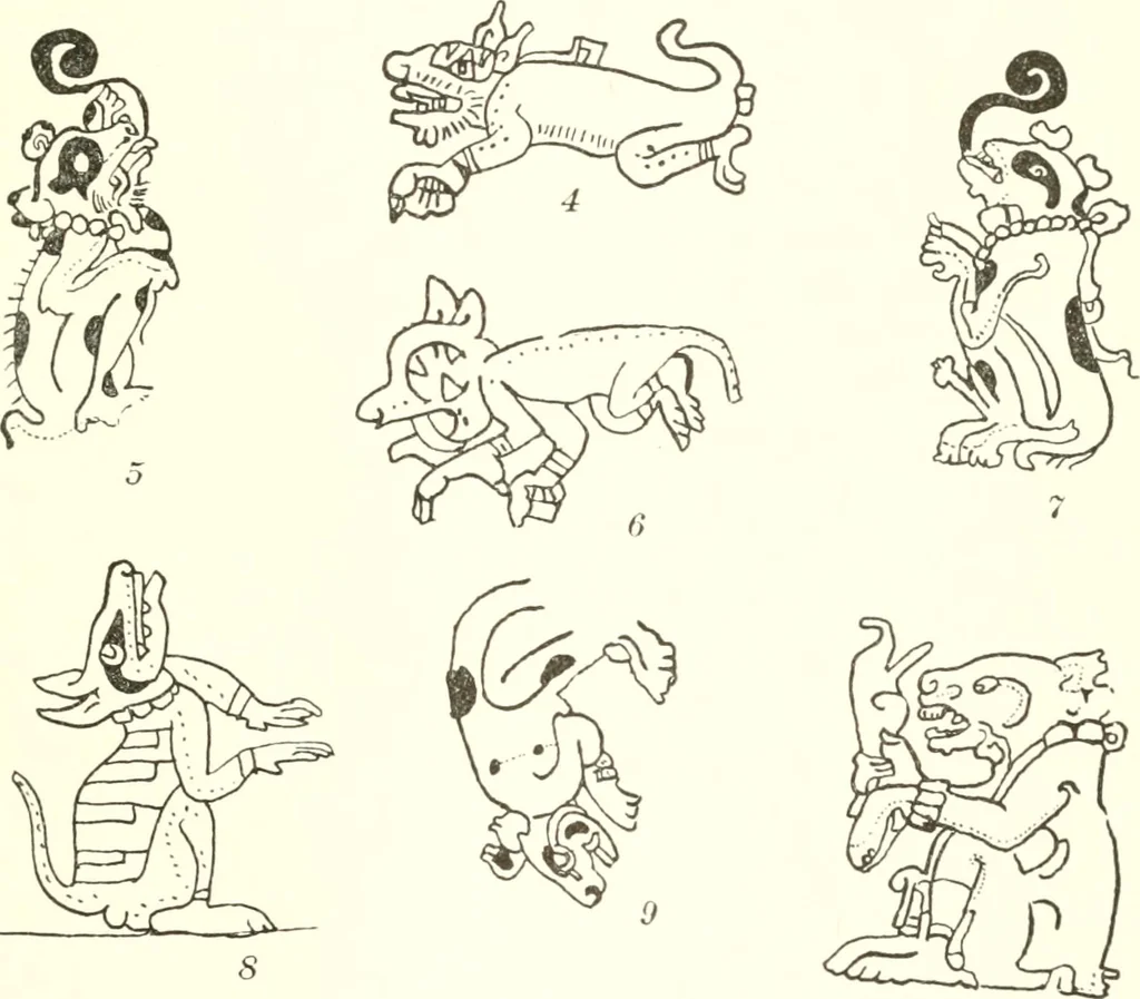 An illustration from Papers of the Peabody Museum of American Archaeology and Ethnology, Harvard University, 1904, leaf 466
