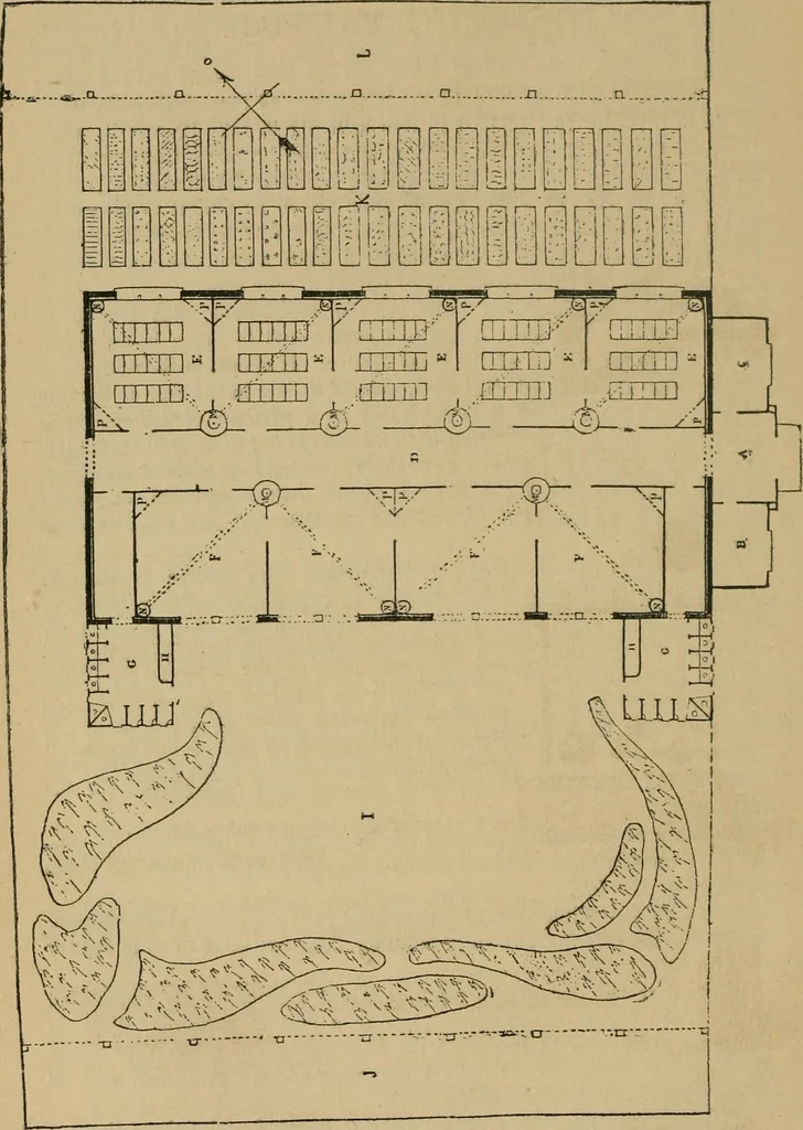 An illustration from Papers on Froebel's kindergarten, with suggestions on principles and methods of child culture in different countries, 1881, leaf 799