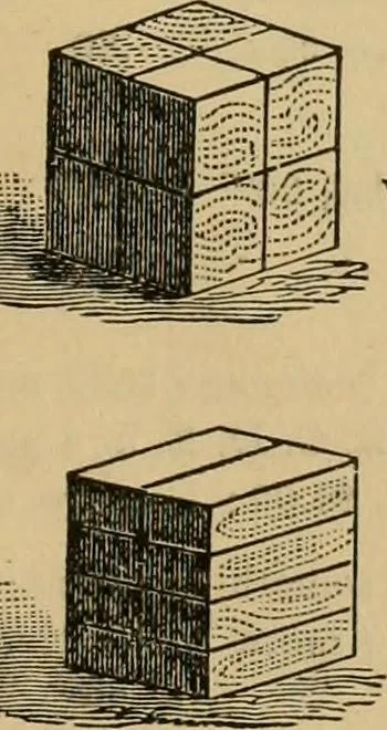 An illustration from Papers on Froebel's kindergarten, with suggestions on principles and methods of child culture in different countries, 1881, leaf 800