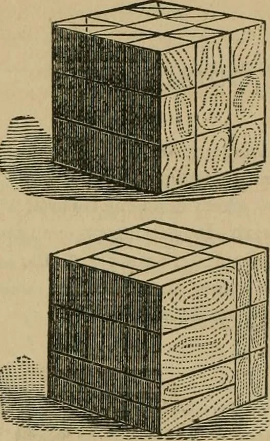 An illustration from Papers on Froebel's kindergarten, with suggestions on principles and methods of child culture in different countries, 1881, leaf 801
