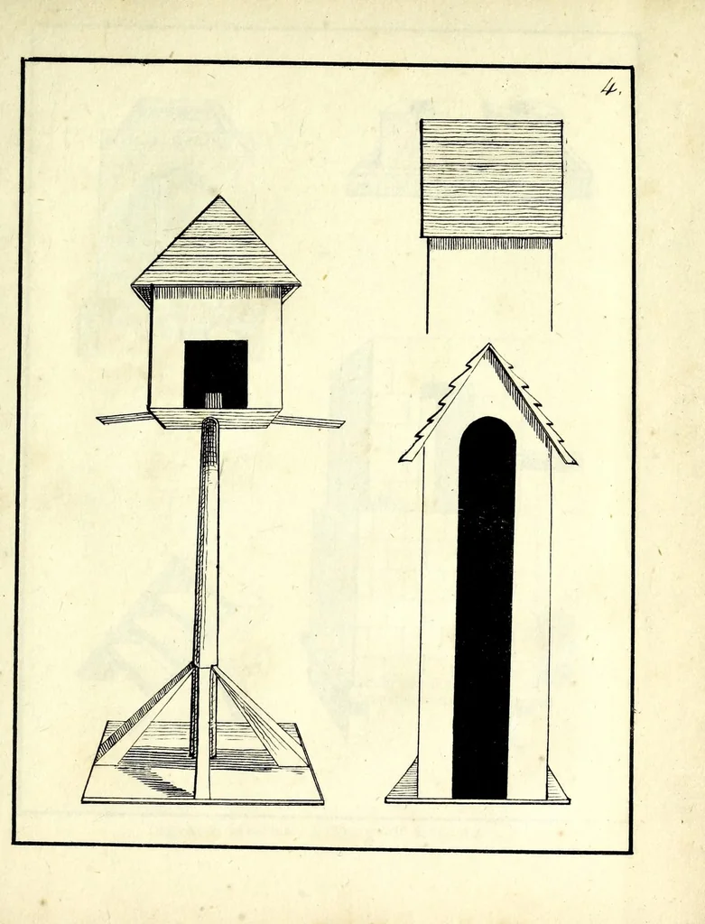 An illustration from Papyro-plastics, or The art of modelling in paper : being an instructive amusement for young persons of both sexes., 1825, leaf 131