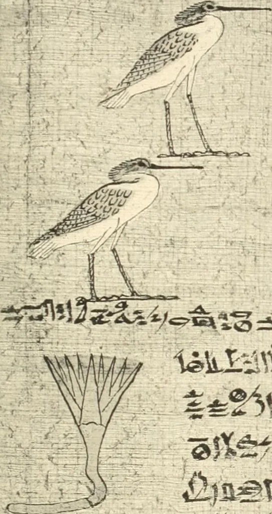 An illustration from Papyrus funéraires de la XXIe dynastie, 1914, leaf 94