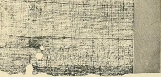 An illustration from Papyrus funéraires de la XXIe dynastie, 1914, leaf 108