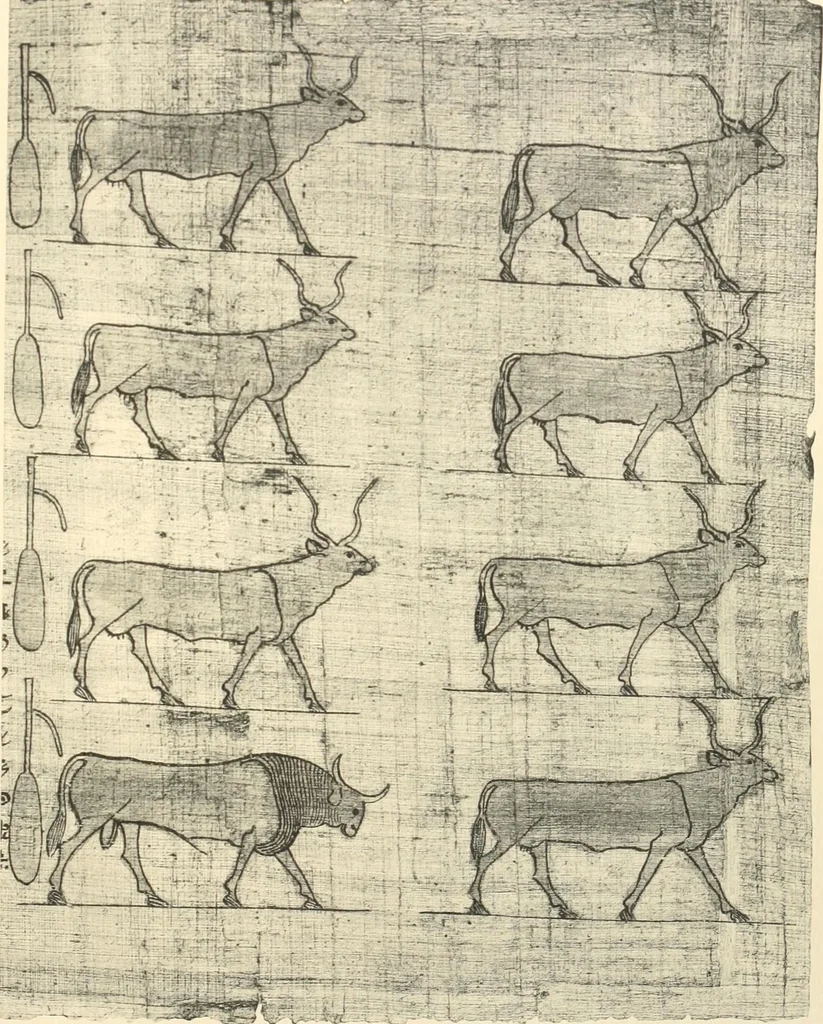 An illustration from Papyrus funéraires de la XXIe dynastie, 1914, leaf 118
