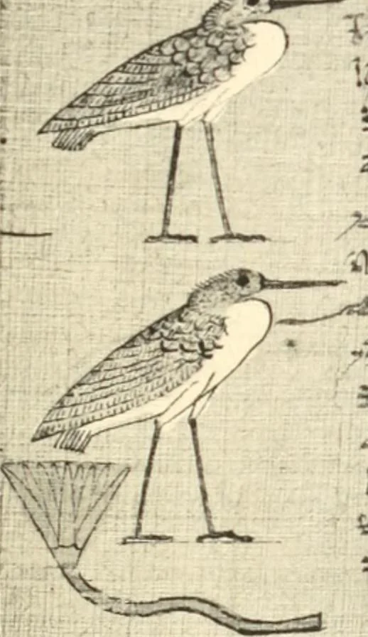 An illustration from Papyrus funéraires de la XXIe dynastie, 1914, leaf 74