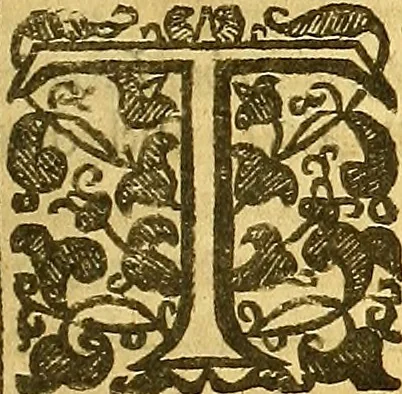 An illustration from The parable of the ten virgins opened & applied: being the substance of divers sermons on Matth. 25. 1, 13 ..., 1660, leaf 348
