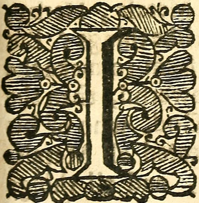 An illustration from Paracelsvs of the supreme mysteries of nature. : Of the spirits of the planets. of occult philosophy. The magical, sympathetical, and antipathetical cure of wounds and diseases. The mysteries of the twelve signs of the zodiack., 1656, leaf 112