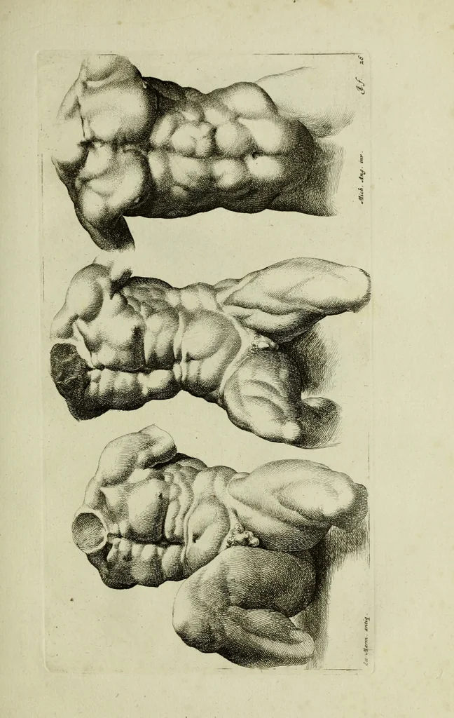An illustration from Paradigmata graphices variorum artificum, 1670, leaf 260