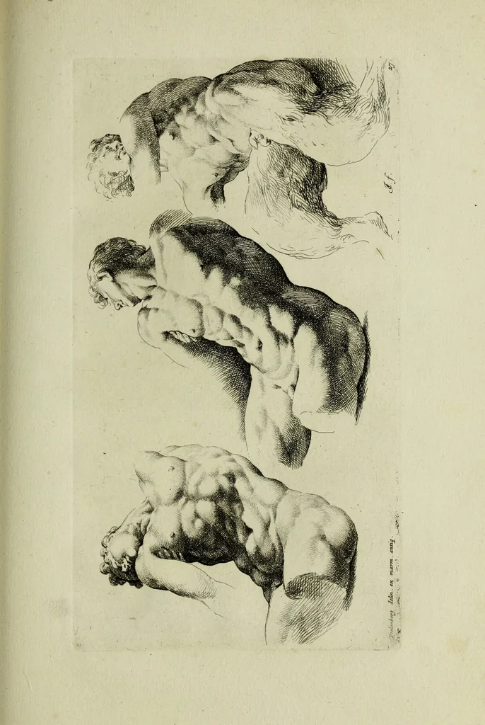 An illustration from Paradigmata graphices variorum artificum, 1670, leaf 262