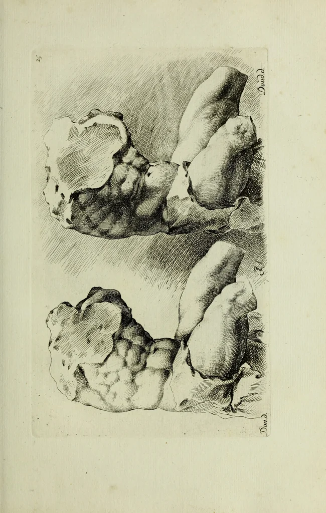 An illustration from Paradigmata graphices variorum artificum, 1670, leaf 56