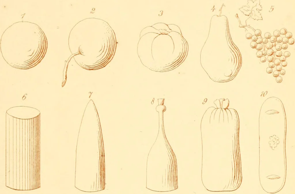 An illustration from The paradise of childhood: a manual for self-instruction in Friedrich Froebel's educational principles, and a practical guide to kinder-gartners, 1869, leaf 232