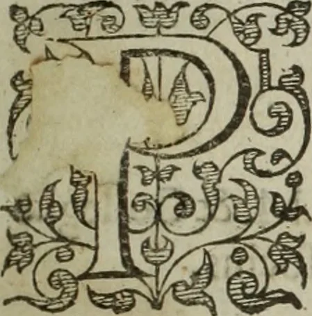 An illustration from Paradisi in sole, paradisus terrestris : or, a choice garden of all sorts of rarest flowers : with their nature, place of birth, time of flowering, names, and vertues to each plant, useful in physick, or admired for beauty. To which is annext a kitchen-garden furnished with all manner of herbs, roots, and fruits, for meat or sawce used with us. With the art of planting an orchard of all sorts of fruit-bearing trees and shrubs, shewing the nature of grafting, inoculating and pruning of them. Together with the right ordering, planting and preserving of them, with their select vertues: All unmentioned in former Herbals, 1656, leaf 14